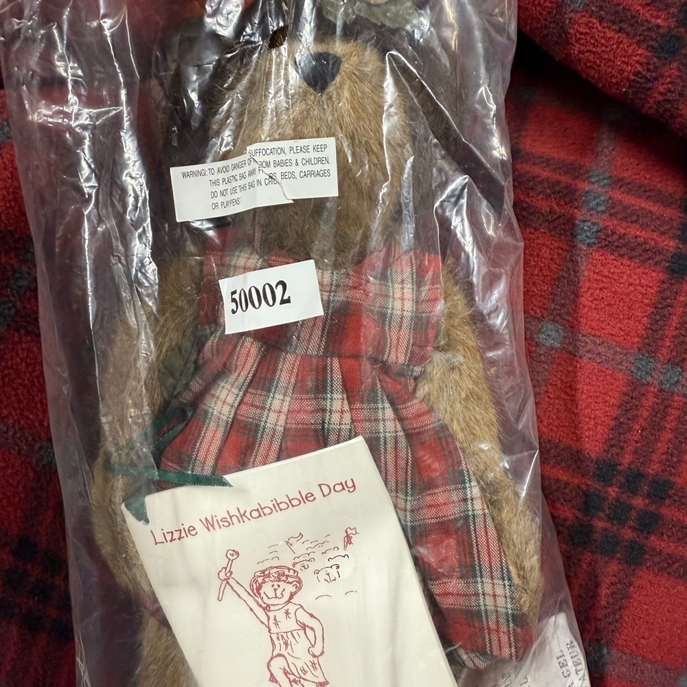 BOYDS BEARS LIZZIE WISHKABBILE DAY BEAR VINTAGE 2000 NEW w/ Tags Y2K - Picture 10 of 13